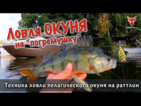 Видео: Ловля крупного ОКУНЯ на раттлин осенью | Пелагический спиннинг с плотика на большой воде