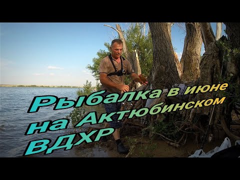 Видео: Ночная рыбалка в июне на Актюбинском ВДХР, Зачётный карась, подлещик на донки, макуху г Актобе 2024г