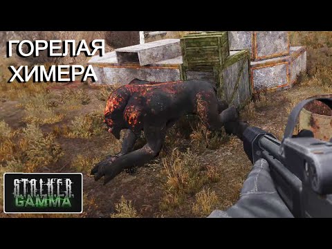 Видео: Особо опасная химера. STALKER Anomaly GAMMA #17