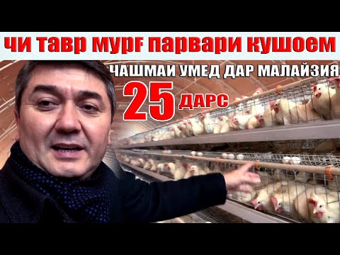 Видео: ЧАШМАИ УМЕД-25. Саидмурод Давлатов. Диловар Сафаров  Dfilm.tj Dilovar Safarov