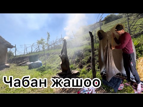 Видео: Таза Кыргыздын жашоосу бул