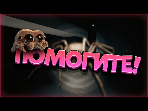 Видео: Борюсь С Арахнофобией 🕷️