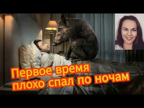 Видео: Мошенник откровенничает с Василисой