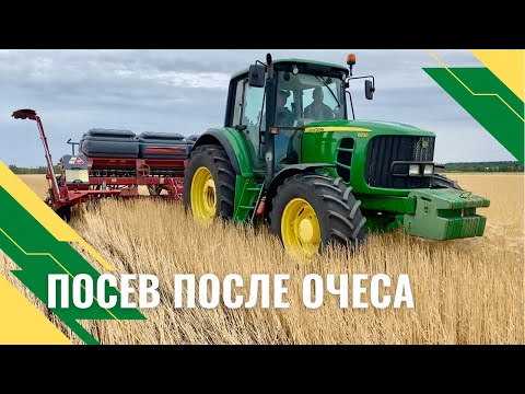 Видео: Прямой посев после очёса - есть ли проблемы?