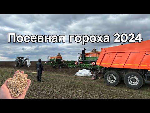 Видео: Посевная гороха ярового 2024. Глубина посева и норма высева анкерной сеялки Amazone Primera DMC 6000