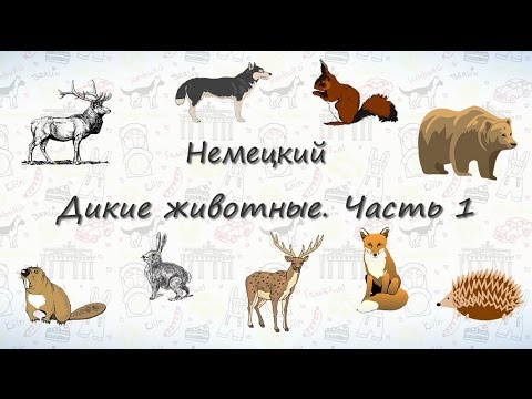 Видео: Животные на немецком. Дикие Животные. Часть 1 | ВИДЕОТРЕНАЖЕР