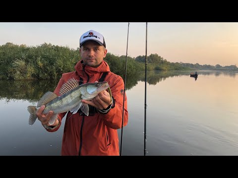 Видео: Щука и судак на джиг с лодки | Река Припять | Рыбалка осенью