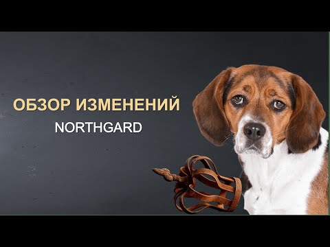 Видео: Крупное обновление | Торговая победа и баланс кланов | Northgard