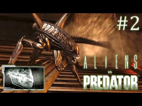 Видео: Aliens versus Predator 2010 // За чужого // Часть 2
