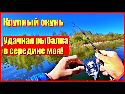 Видео: ТАКОЙ УДАЧНОЙ РЫБАЛКИ Я НЕ ОЖИДАЛ. Горбачи атакуют.Клюёт не только окунь. Майский улов на микроджиг!