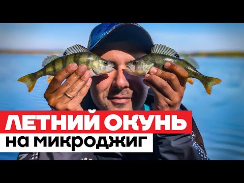 Видео: 🖐5 СОВЕТОВ, КАК ПОЙМАТЬ ЛЕТНЕГО ОКУНЯ НА МИКРОДЖИГ! Подбор ШНУРА, ГРУЗИЛ, ПРИМАНОК Окунь на спиннинг