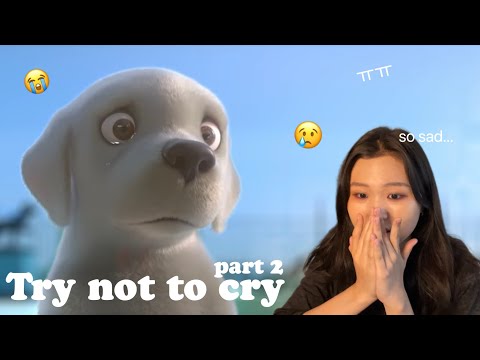 Видео: (ПАРТ2) Уйлахгүй байхыг чинь харъя! 😭😢Try not to cry challenge