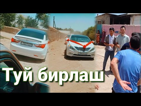 Видео: Туй бирлаш загс кортеж мархамат дустлар лайк босамиз Шахритус Тоҷикистон