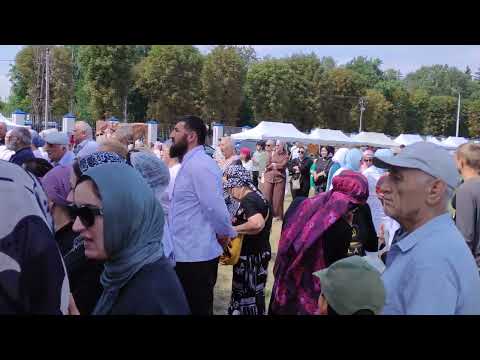 Видео: 16.08.2025г Кабардино Балкарий в районе Долинске Открытия Балкарских Хычынов В 1 вые 