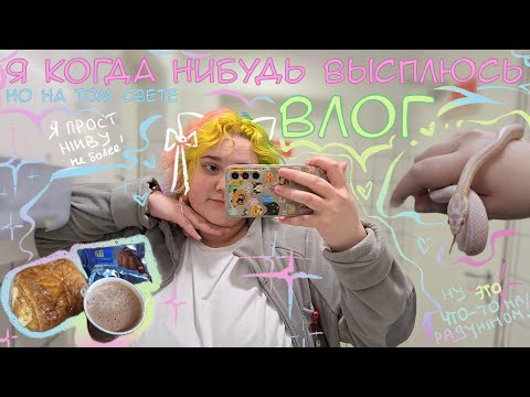 Видео: влог снова рабочий :(