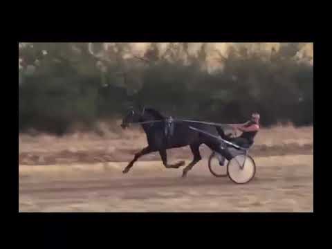 Видео: Ники Приде 1 Игрив 2