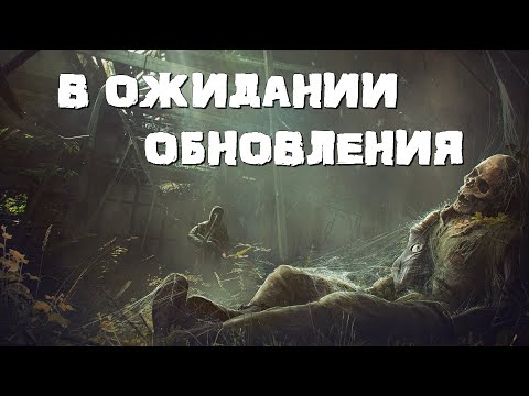 Видео: Stalker Online\Stay Out\Сталкер Онлайн: В ожидании обновления