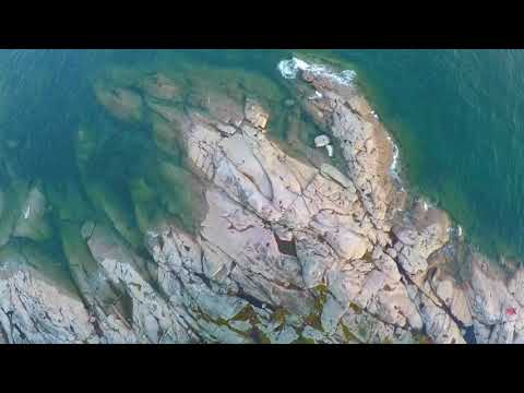 Видео: Регресия в този  живот