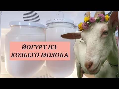 Видео: ДОЮ КОЗУ/КАК СДЕЛАТЬ ЙОГУРТ ИЗ КОЗЬЕГО МОЛОКА