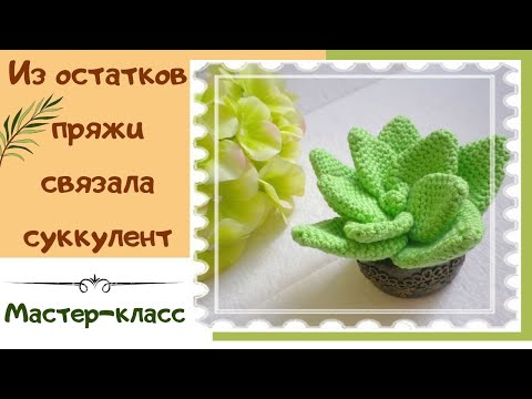 Видео: Вязаные крючком суккуленты. Мастер класс 2021г.