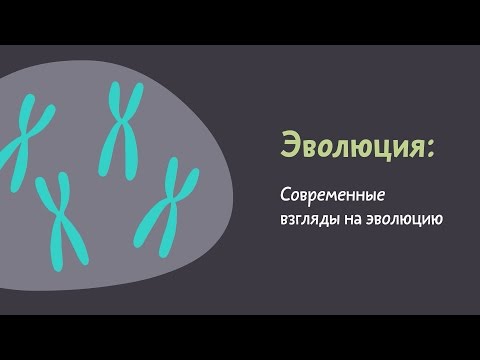 Видео: 5.3 Современные взгляды на эволюцию. Естествознание - 10 - 11 класс