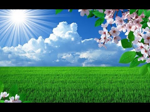 Видео: Ачхой-Мартан. Вспоминая прошлое. Весна 1996