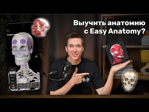Видео: Как выучить анатомию? Обзор приложения Easy Anatomy | 3D Атлас, Конспекты, Видео, Флеш-карты