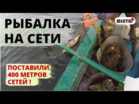 Видео: 5 СЕТЕЙ НА 1 НОЧЬ! СТАВИМ СЕТИ НА РЕКЕ.