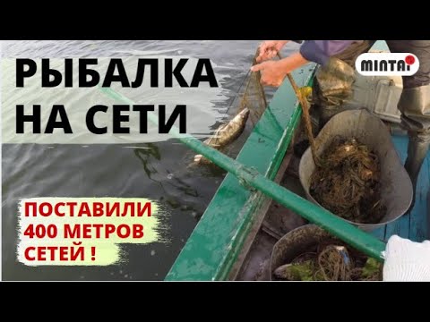 Видео: 5 СЕТЕЙ НА 1 НОЧЬ! СТАВИМ СЕТИ НА РЕКЕ.