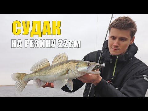 Видео: СУМАСШЕДШАЯ РЫБАЛКА на СУДАКА!!! Волжские СУДАКИ РАЗРЫВАЮТ Силикон!
