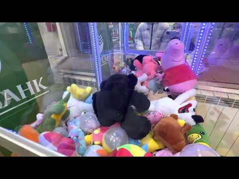 Видео: КАКОЙ КЛАССНЫЙ МЕДВЕДЬ!