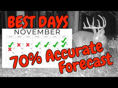 Видео: Открытие лучших дней гона: 500 000 оленей изучены с точностью 70%