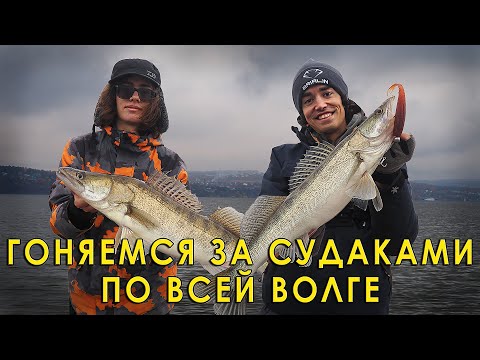 Видео: Как угодить судаку? Учимся современной рыбалке!