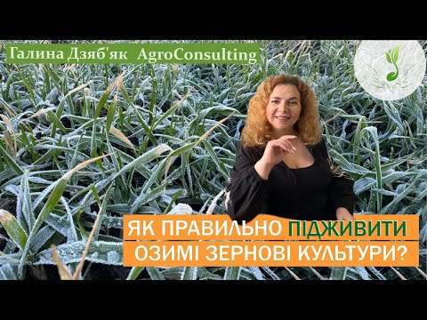 Видео: Мета підживлення озимих зернових, в які фази розвитку рослин, які форми азоту, комплексний підхід