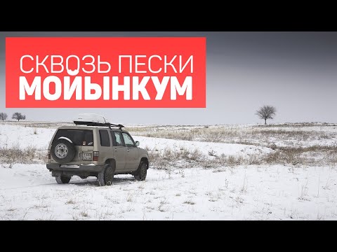 Видео: Сквозь пески Мойынкум. Алматинская область, Казахстан.
