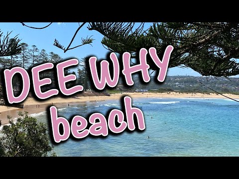 Видео: Северные пляжи Сиднея: обзор Dee Why beach