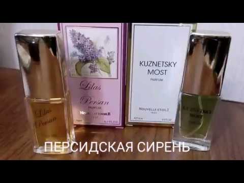 Видео: Новая Заря. Кузнецкий мост и персидская серень.