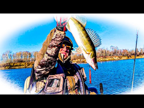 Видео: РЫБАЛКА на РАТЛИНЫ и ВИБы. Часть2. Продолжение....