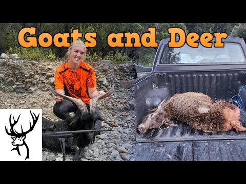 Видео: Охота на коз и оленей в Новой Зеландии — NZ Chronicles