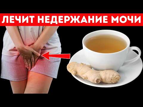 Видео: Борется с НЕДЕРЖАНИЕМ МОЧИ у ПОЖИЛЫХ навсегда