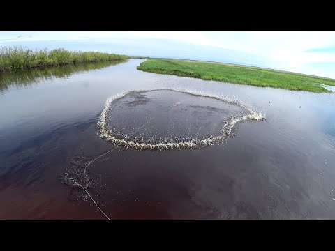 Видео: Нашли разливы. Пытаемся поймать рыбу.