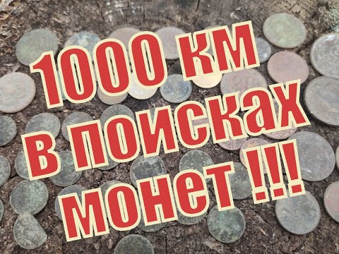 Видео: Поиск монет в лесу,  #Коп в Житомирской области ,#средневековое серебро, #коп 2019!