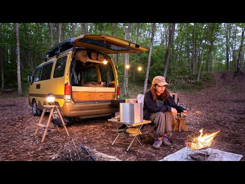 Видео: Кемпинг в свежем зеленом лесу с небольшим фургоном