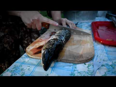 Видео: Щука запечённая  в фольге на углях!!!!!! Простой и вкусный рецепт.