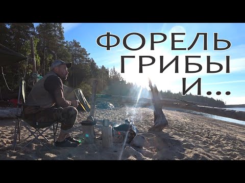 Видео: ФОРЕЛЬ ГРИБЫ И ЛОЖКА СО ЛЬВЕНКОМ! ОСЕННЯЯ ВЫЛАЗКА НА КАРЕЛЬСКОЕ ОЗЕРО!