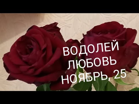 Видео: ВОДОЛЕЙ ЛЮБОВЬ НОЯБРЬ 2025 года