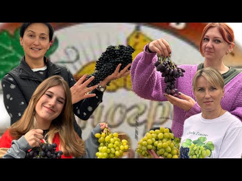 Видео: Беларусь. Выставка винограда Гомель 2025. Часть вторая