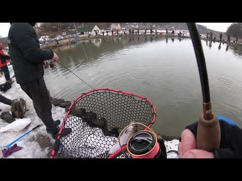 Видео: МИСАЙЛОВО TROUT, открытие Форелевого Сезона 2021