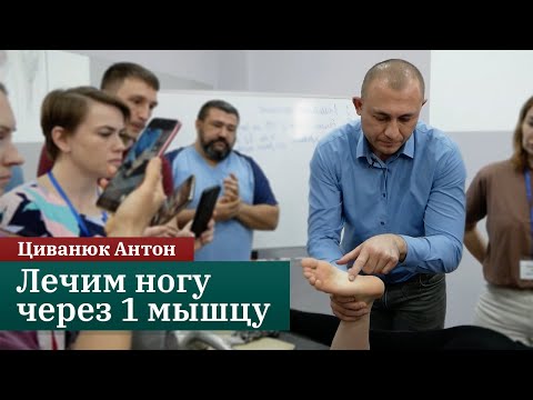 Видео: Лечим ногу через одну мышцу. Прикладная кинезиология. Циванюк Антон