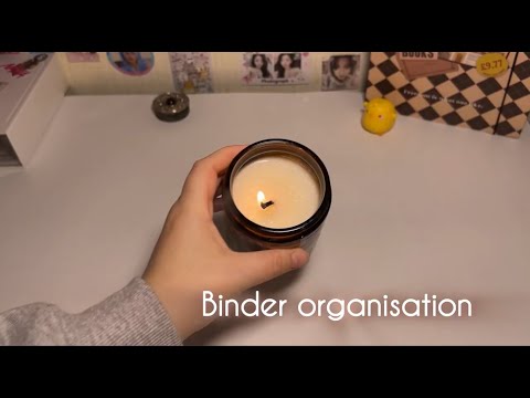 Видео: Организация биндеров | Binder organisation | stray kids, twice, woozi 